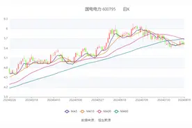 国电电力：2024年上半年净利67亿元 同比增长127.35% 拟10派0.9元图片