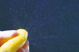 剥橘子辣眼睛！《科学》封面文章：橘皮里到底藏了什么图片