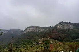 一境知秋|红叶柿岩图片