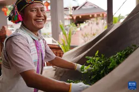 云南基诺山：雨林深处的古调新声图片
