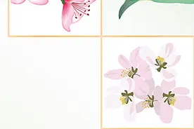 春雨为何多在夜里下？图片