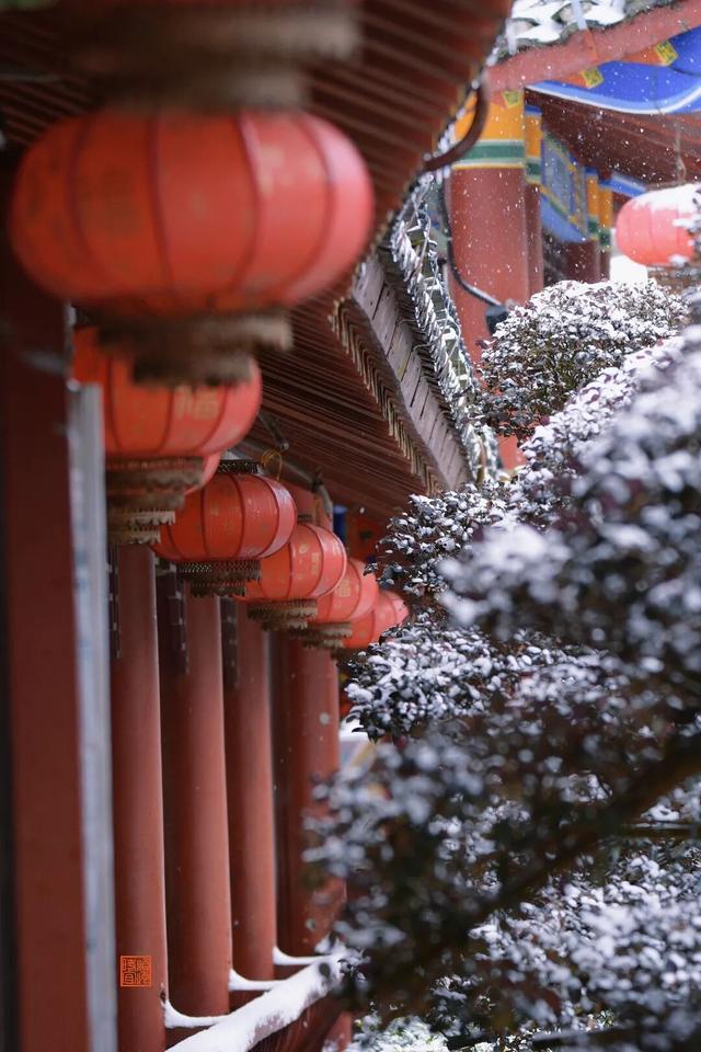 秋冬游资源！雾凇染丹霞，油茶暖红韵，这趟桂北秘境之旅很治愈