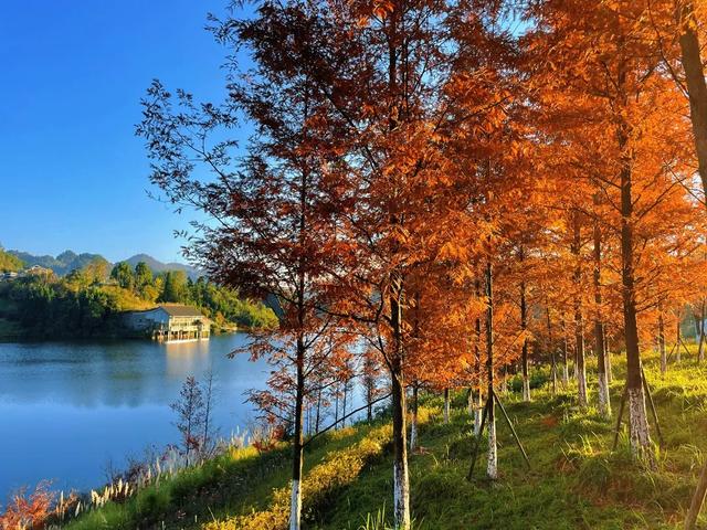 现在的黔南，已经美成这样了→