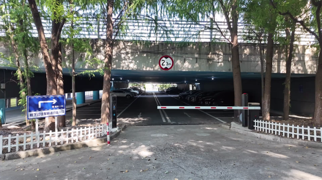 喂？我在大桥下遛娃……