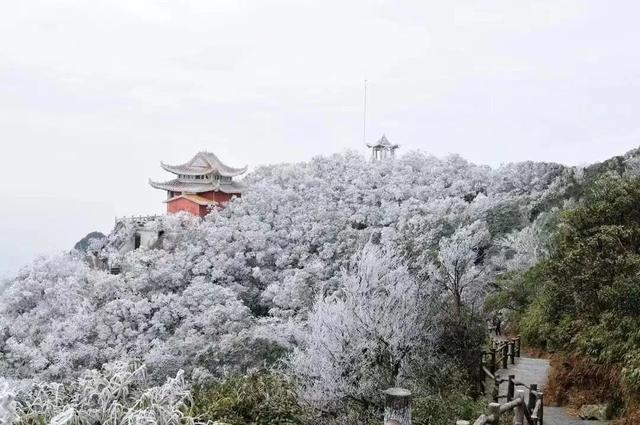 多地下雪！广西限定版“冰雪世界”已上线