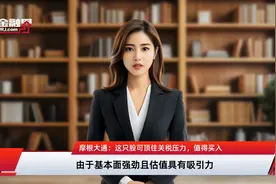 摩根大通：这只股可顶住关税压力，值得买入视频封面