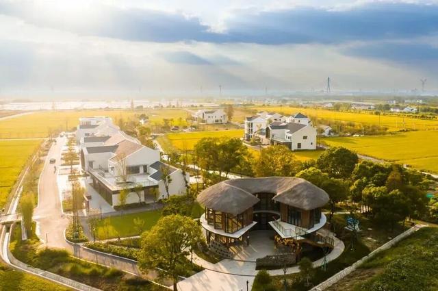 私藏！奉贤的秋，美到封神