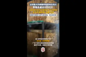 “全球最大的蟑螂基地”在四川西昌 220亿只美洲大蠊住“星空顶公寓”图片