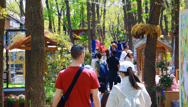 限时4天！蒙山面向全国女性、医护人员免费开放！