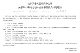 哈尔滨市人民政府宣告：冰雪节2024年1月5日公休1天图片