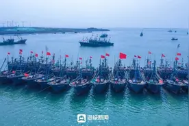 海报新观察丨日照海鲜，何以香飘万里？图片