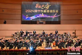 中越歌手壮乡献唱：以声传情促友谊图片