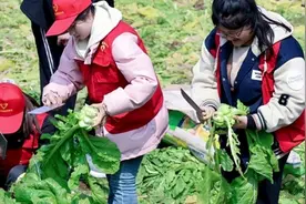 重庆工贸职业技术学院：为乡村振兴注入强劲“职教力量”图片