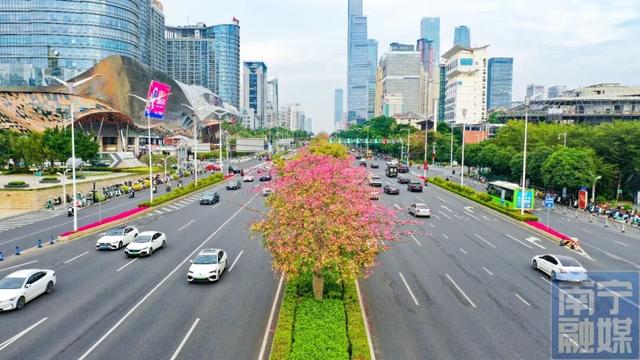 粉了粉了！让南宁街头这些“梦幻棉花糖”承包你的少女心→