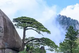 免票、半价！全国多地景区官宣图片