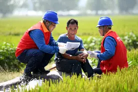 山东郯城：电线杆穿“夜光衣” 保秋收安全图片