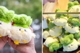 “蒜鸟~蒜鸟~都不yong易~”图片