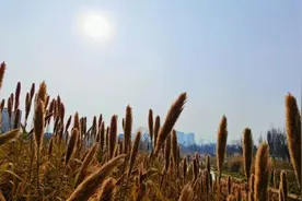 拜拜羽绒服！强势回暖中，最高气温22℃！图片