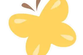 高校专项|华东师范大学2025年高校专项计划公布图片