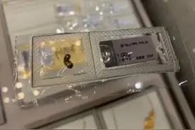1克约500元！合肥不少年轻人迷上它图片