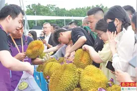 10元/斤?榴莲价格为何“大跳水”?图片