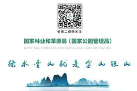 关爱大熊猫人士：大熊猫们得到了很好照顾，过得很好图片