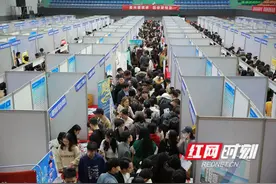 287家企业提供岗位超万个 湖南涉外经济学院举行2024届毕业生招聘会图片