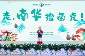 “走，南华捡菌克！”云南野生菌产品引爆长水国际机场图片