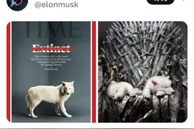 复活1万多年前“冰原狼”！马斯克发帖表关注图片