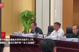 长江干线武汉至安庆段6米水深航道整治工程验收 武汉“江港”变“海港” 万吨货轮成常客图片