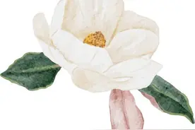 幸福婚姻 和谐家庭｜丰台专场公益交友联谊活动“花开为媒·遇见美好”图片