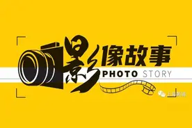 影像故事丨黄浦的“绿色遮阳伞”就在这些路上图片