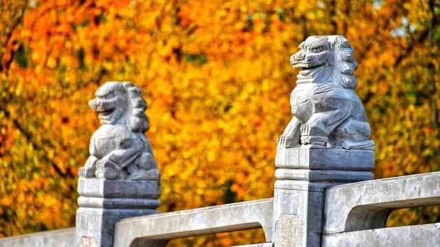 推荐！秋天，来洛阳玩耍的攻略来啦