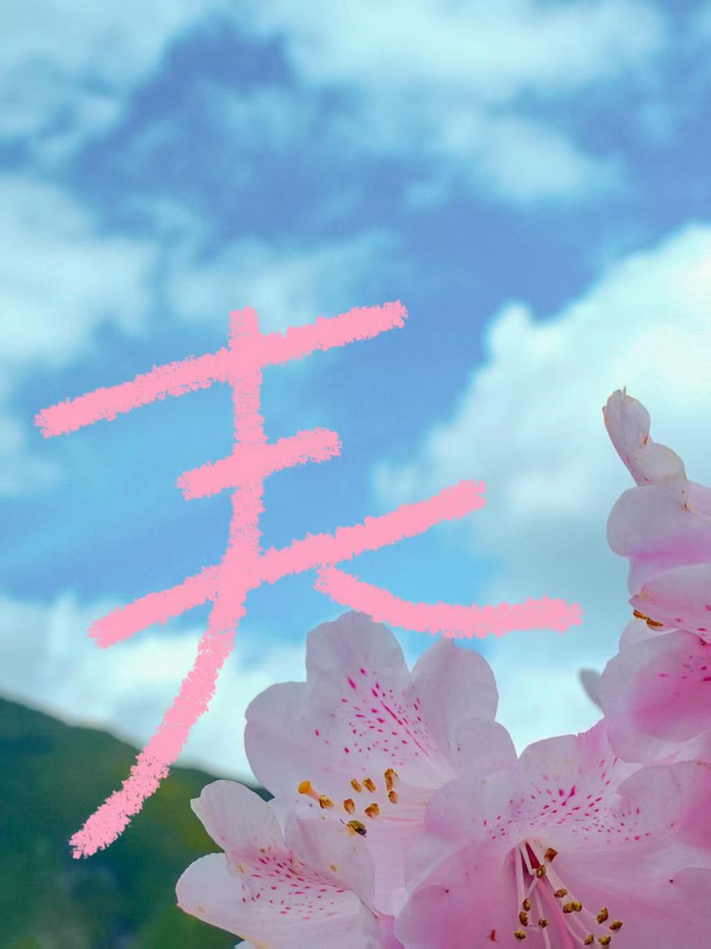 外交部赵立坚推荐的木格措，究竟有多美？