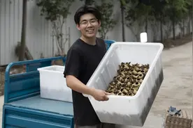 新农人·新南浔｜“爆改”羊圈，00后养蟋蟀年入近千万元图片