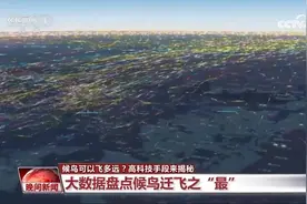 候鸟可以飞多远？高科技手段来揭秘图片