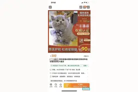 网购宠物求便捷 货不对板谁负责？图片