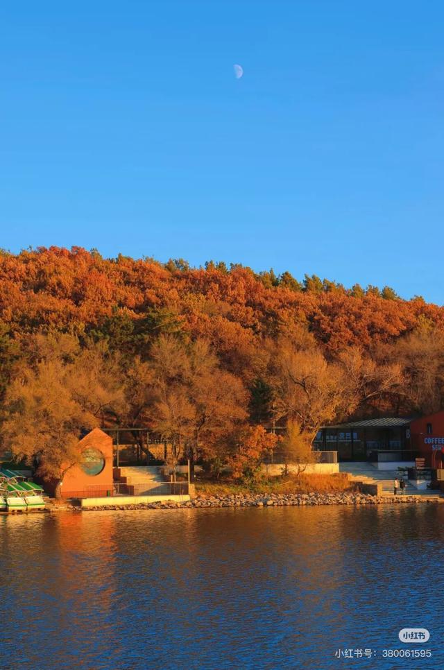 一半秋色在净月潭 另一半在你的镜头里→