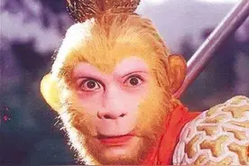 《悟 空 传》图片