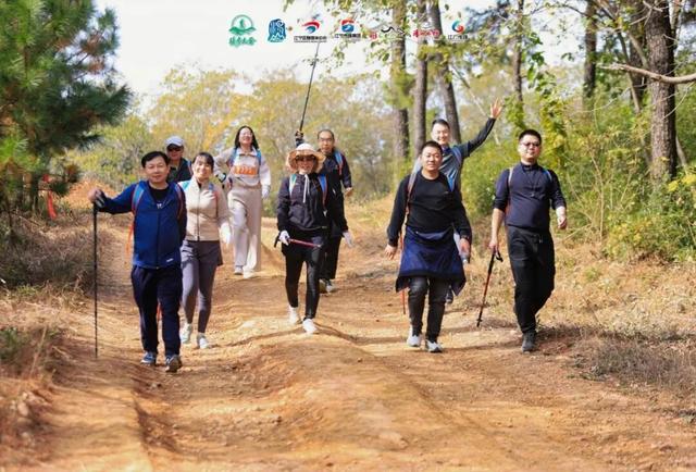 一场跨越汤山的 “自然奔赴”→