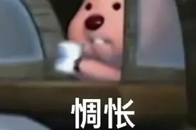 电动车“花式翘头”追尾小车！摔跤千万种，伤痛只有自己懂……图片