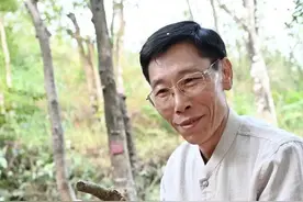 从“采香日”看东莞何以让千年“莞香”历久弥香？图片