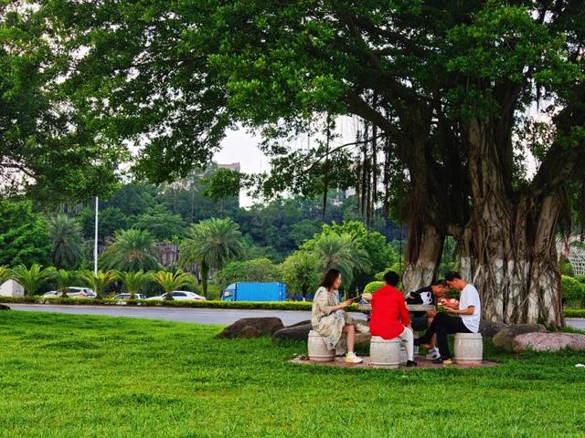 藏在防城港的“城市绿肺”！这个湿地公园，已成市民周末休闲顶流