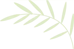 国家地理诚不欺我！来一次震撼一整年！五一假期将挤满人~图片