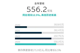 蔚来营收创新高、亏损再扩大，阿尔卑斯助力几何？图片