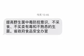 这个旅游日，用最“野”的方式，打开云南人的餐桌！图片