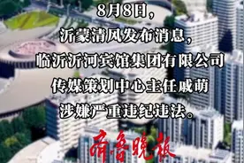 沂视频|涉嫌严重违纪违法，临沂沂河宾馆集团有限公司一人被查图片