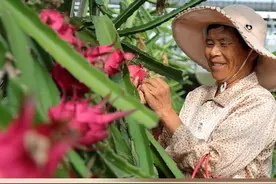 新华每日播报｜8月22日图片