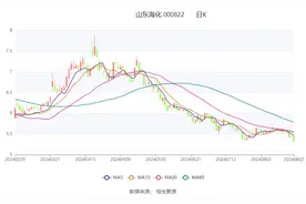 山东海化：2024年上半年净利润2.24亿元 同比下降35.51%图片