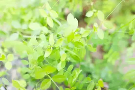 谨防紫外线伤害，美美过假期｜贤医健康说图片